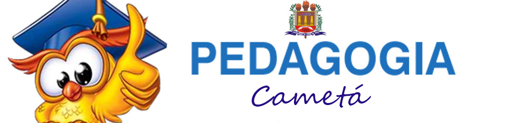 PEDAGOGIA CAMETÁ -2019 A